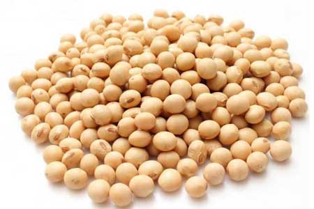 Soya Beans For Breast Enlargement