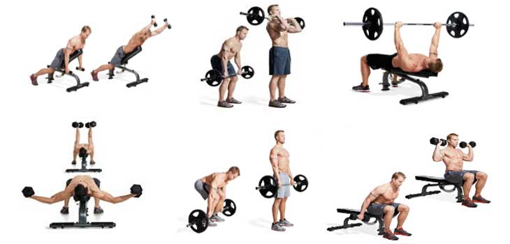 Weight Lifting Exercises