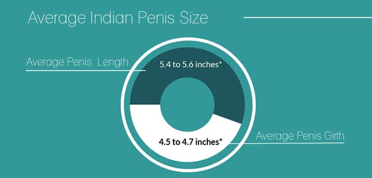 Average Penis Size