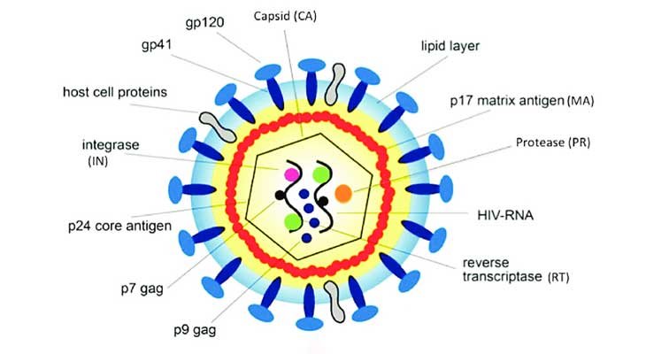 HIV-Virus Issue