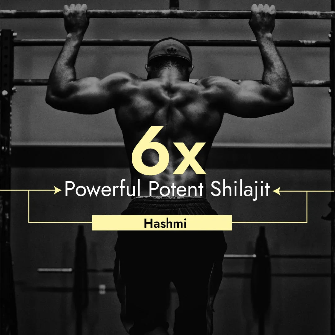 Hashmi Sikander E Azam Pure Himalayan Shilajit Resin, 10gm