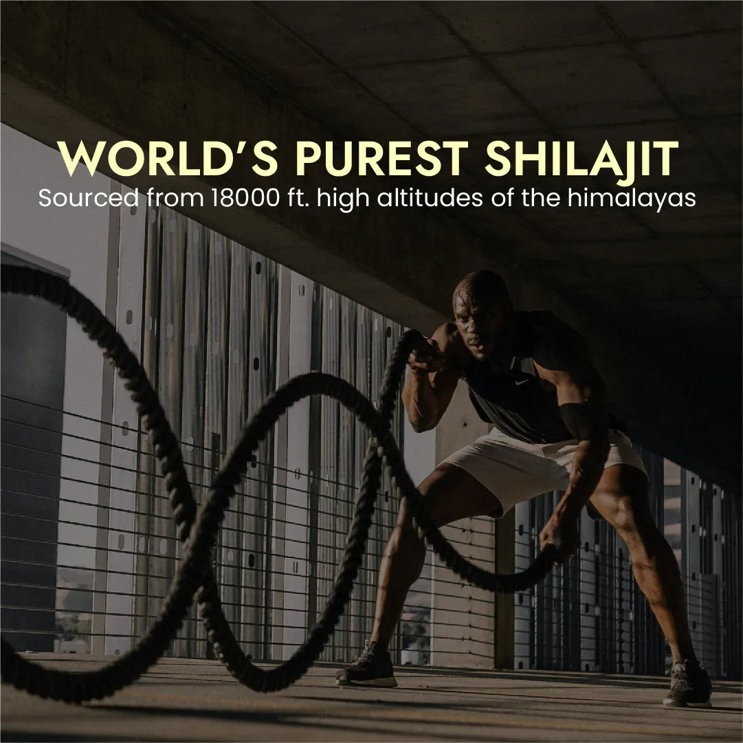 Hashmi Sikander E Azam Pure Himalayan Shilajit Resin, 10gm