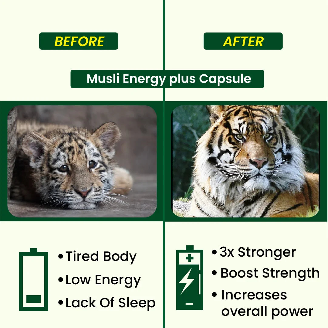 Hashmi Musli Energy Plus Capsule | Ayurvedic Medicine – For Stamina, Muscle Growth, Immunity & Overall Well-being
