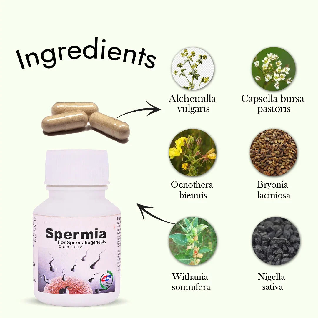 Hashmi Spermia Capsule (20 Capsule)