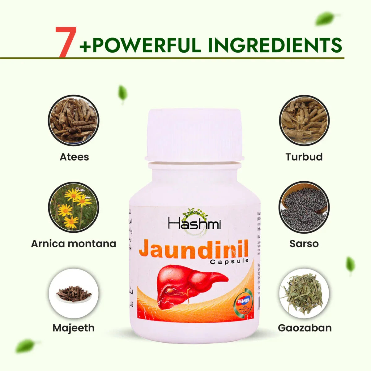 Hashmi Jaundinil 20 Capsule